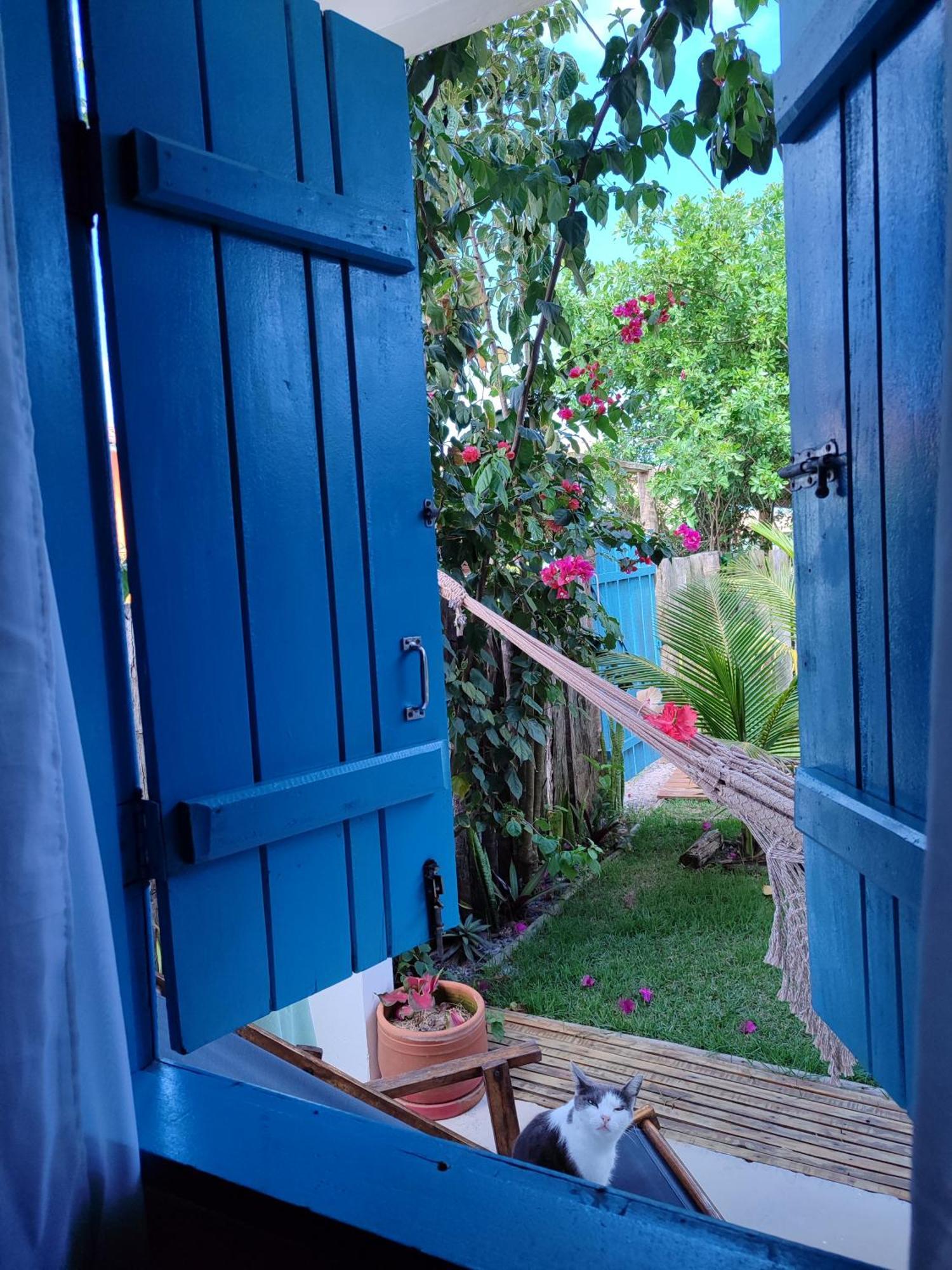 Kiaro Caraiva